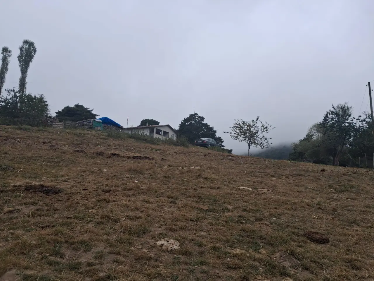 Amasya DSYB’den İl Genelinde Suni Tohumlama Çalışması 3