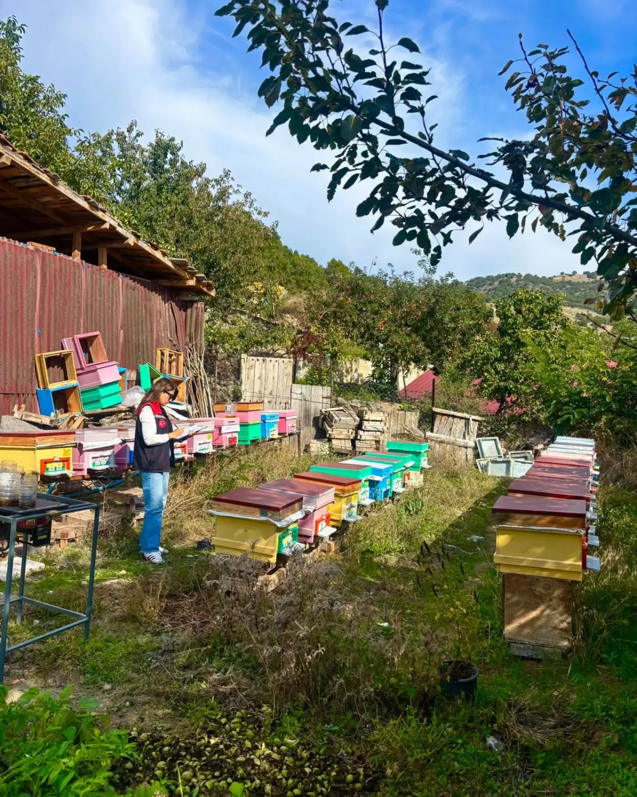 Amasya’da Arıcılara Destek Hazırlığı! 2