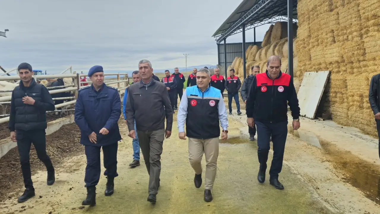 Merzifon’da IPARD Yatırımları Mercek Altında! 1