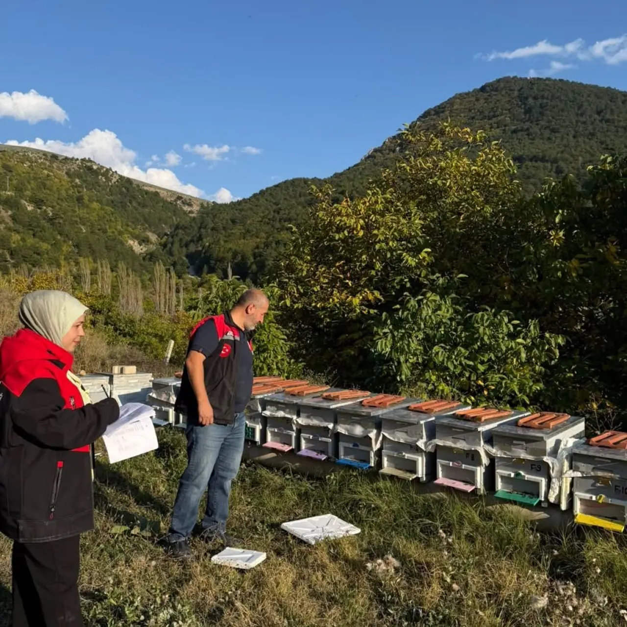 Suluova’da Arıcılık İçin Harekete Geçildi! 2