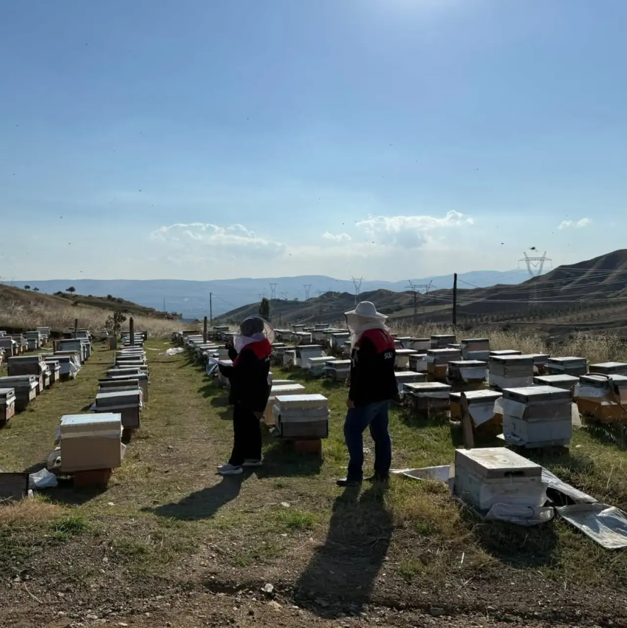 Suluova’da Arıcılık İçin Harekete Geçildi! 3