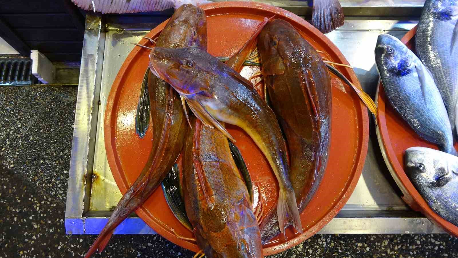 40-yildir-ikisi-bir-arada-bu-kadar-bol-gorulmedi