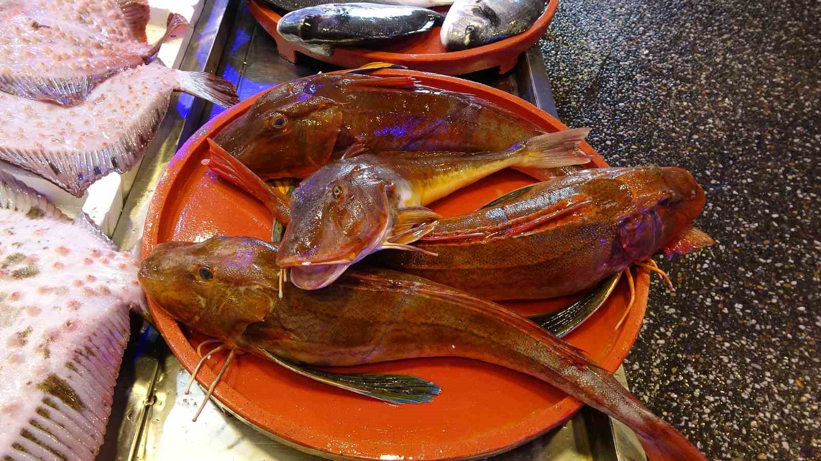 40-yildir-ikisi-bir-arada-bu-kadar-bol-gorulmedi