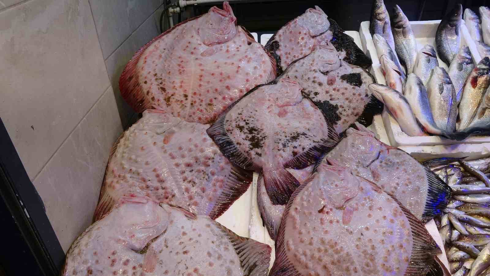 40-yildir-ikisi-bir-arada-bu-kadar-bol-gorulmedi