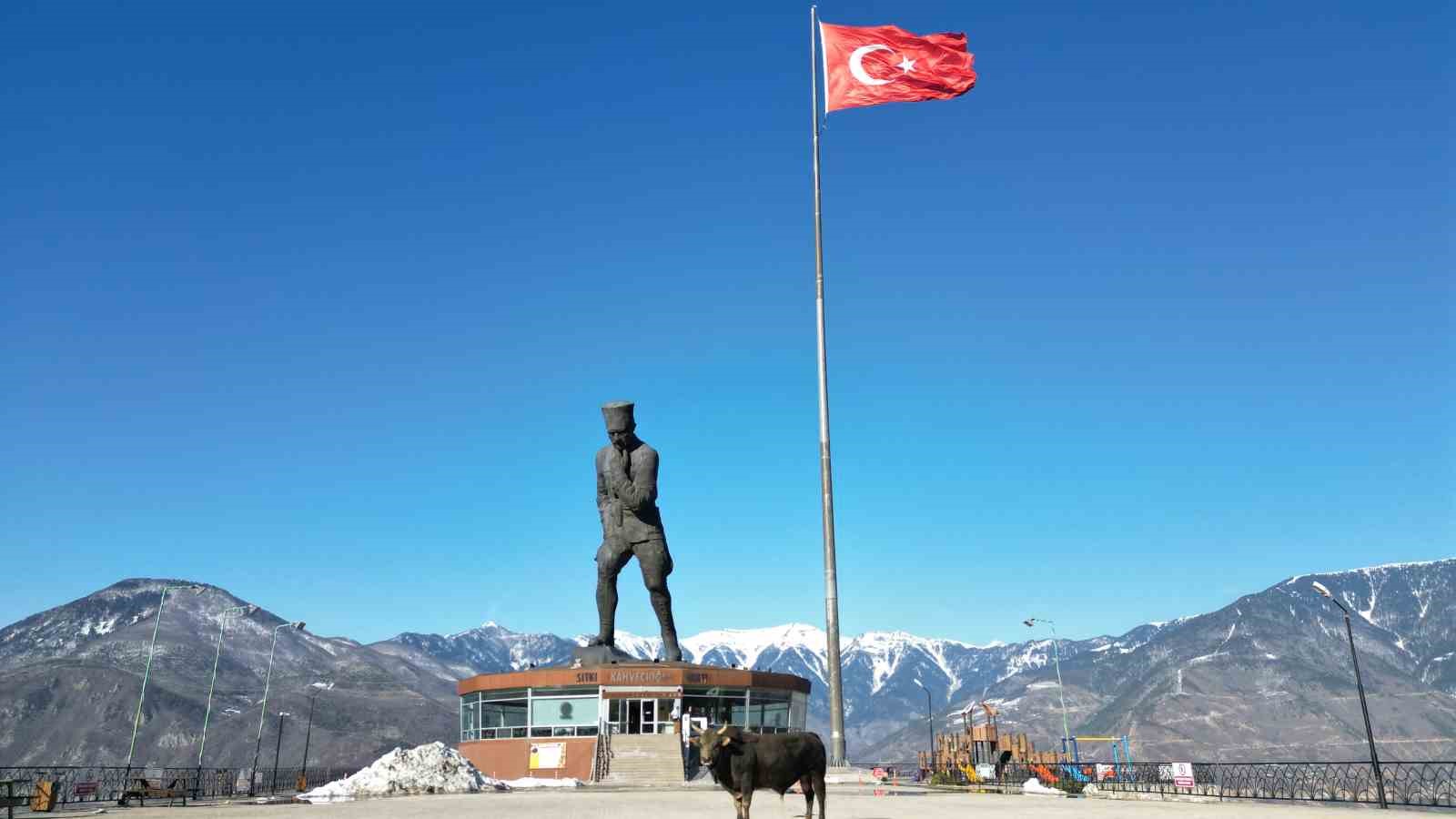 bogasini-gureslere-hazirliyor