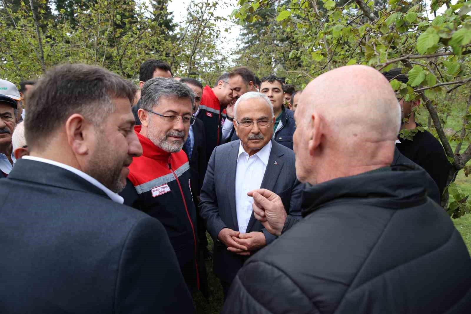 bakan-yumakli-zirai-don-nedeniyle-zarar-goren-agaclarda-kulaktan-dolma-bilgilerle-budama-yapilmamali