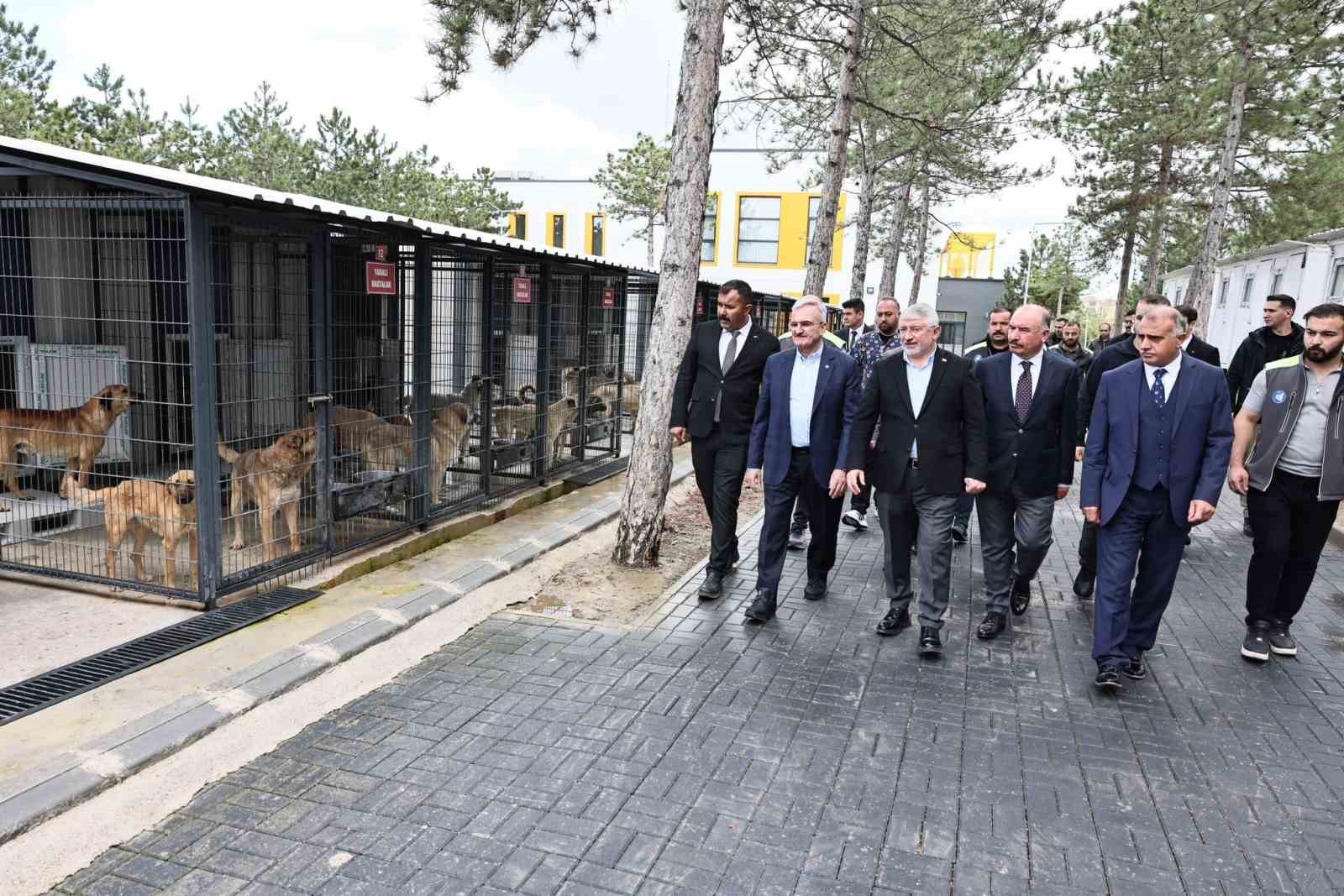 corumda-atiklardan-sokak-hayvanlari-icin-mama-uretilecek
