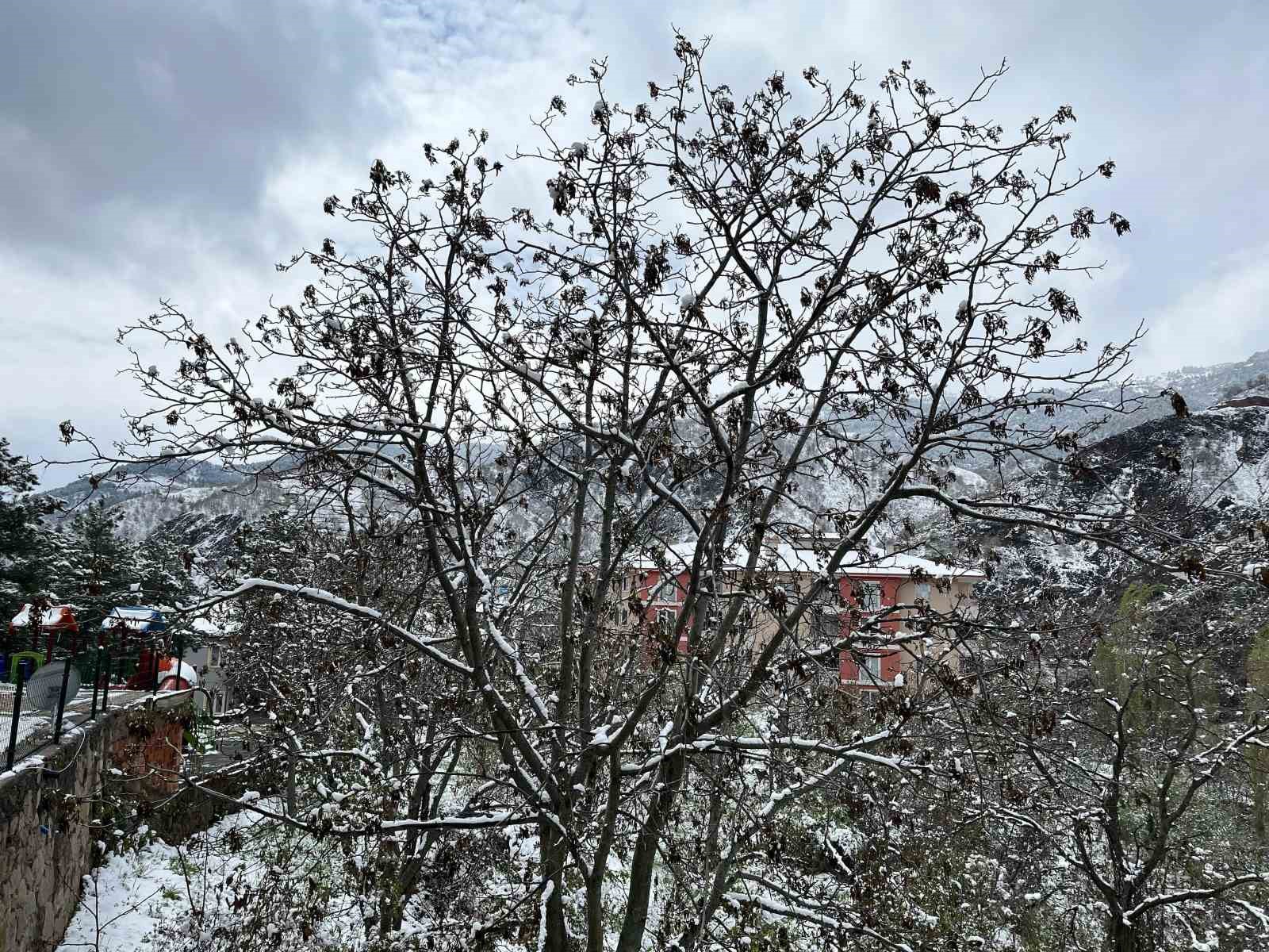 milletvekili-ahlatcidan-zirai-don-aciklamasi
