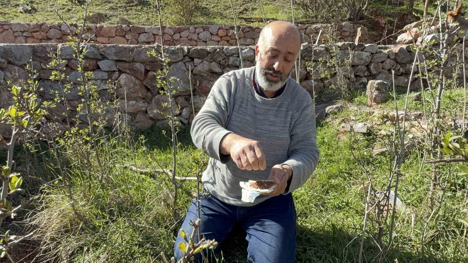 tokatta-turbenin-topragini-yiyerek-dua-ediyorlar