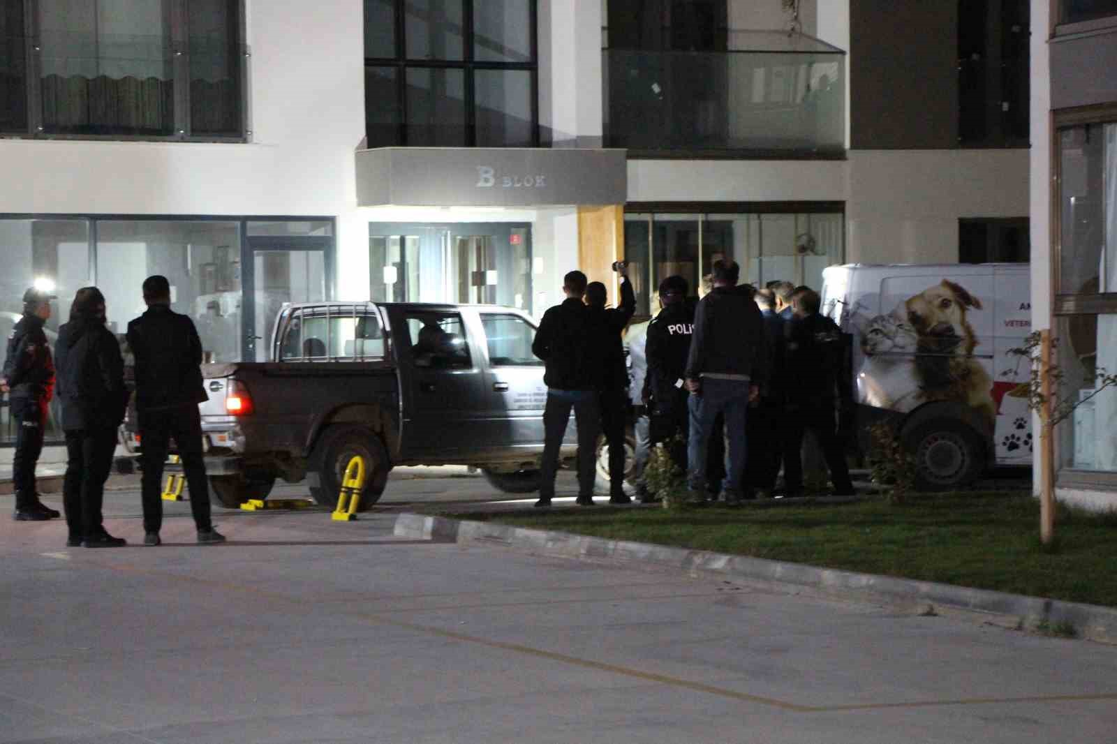 amasyada-binaya-giren-yaban-domuzu-polis-operasyonuyla-etkisiz-hale-getirildi