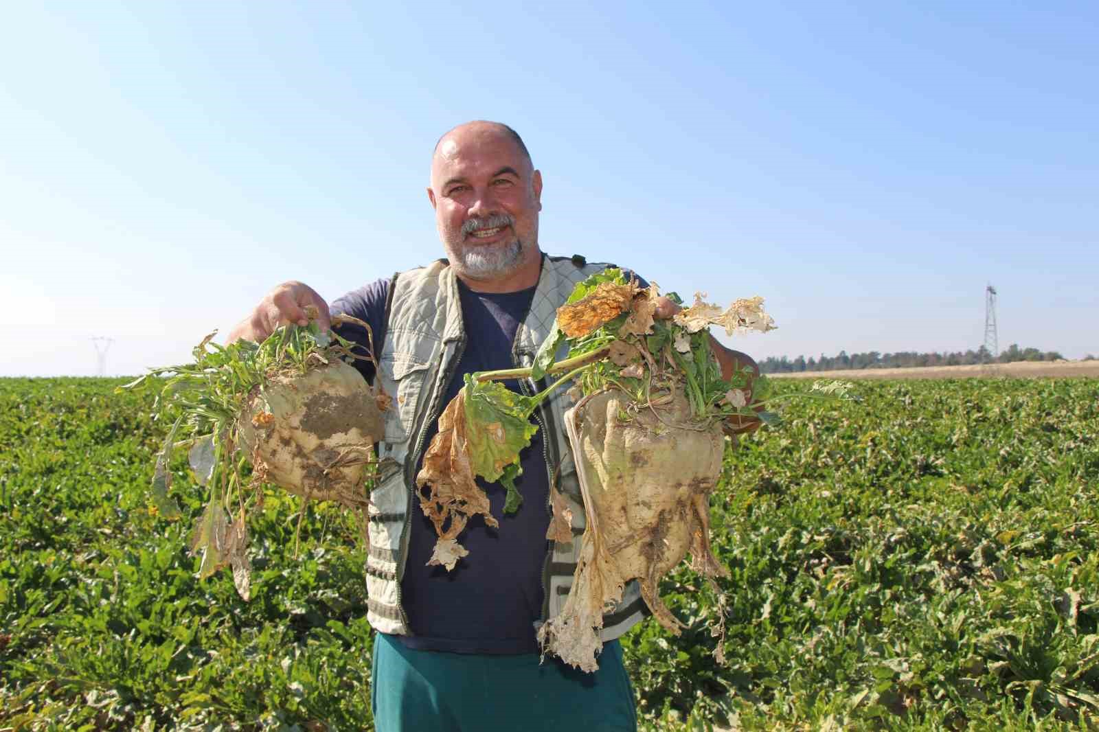 amasyada-seker-pancari-hasadi-basladi-350-bin-ton-rekolte-bekleniyor