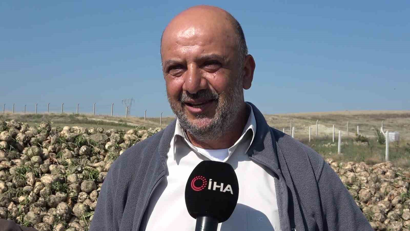 amasyada-seker-pancari-hasadi-basladi-350-bin-ton-rekolte-bekleniyor