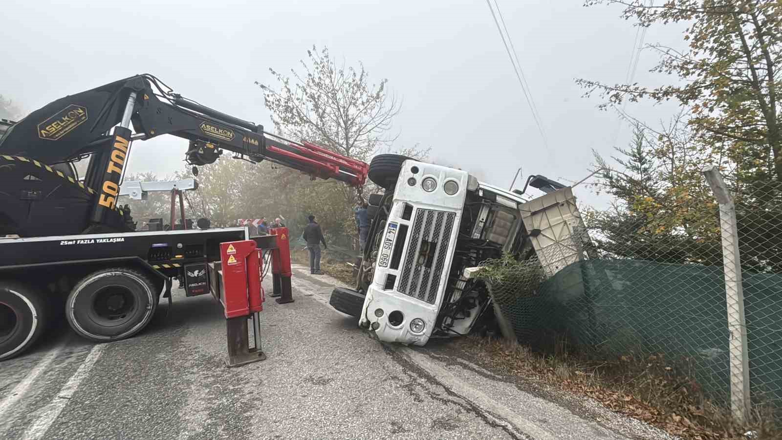 boluda-viraji-alamayan-kamyon-devrildi-onlarca-tavuk-telef-oldu