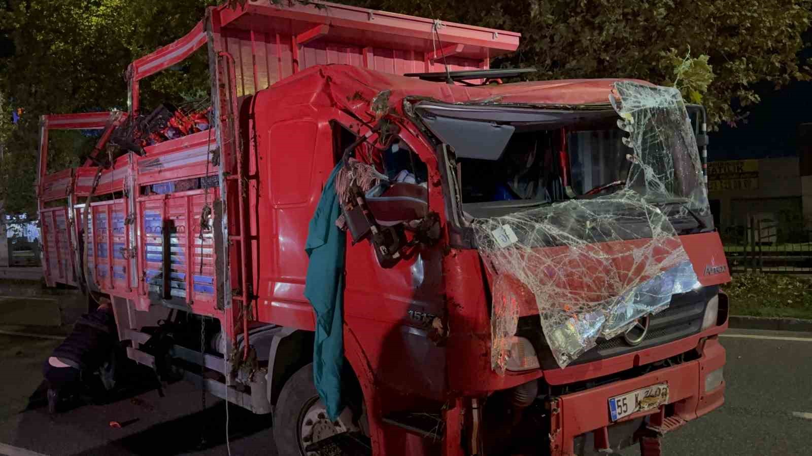 devrilen-kamyondaki-10-ton-kapya-biber-yola-sacildi-2-yarali