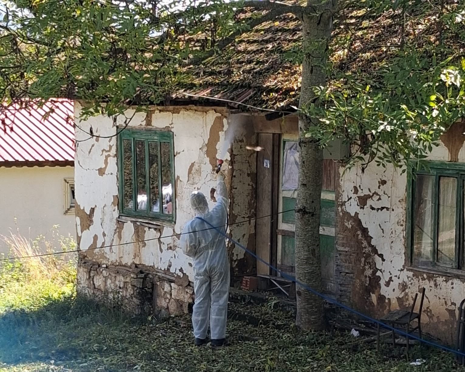 duzcede-kahverengi-kokarcaya-karsi-kislak-mucadelesi-basladi