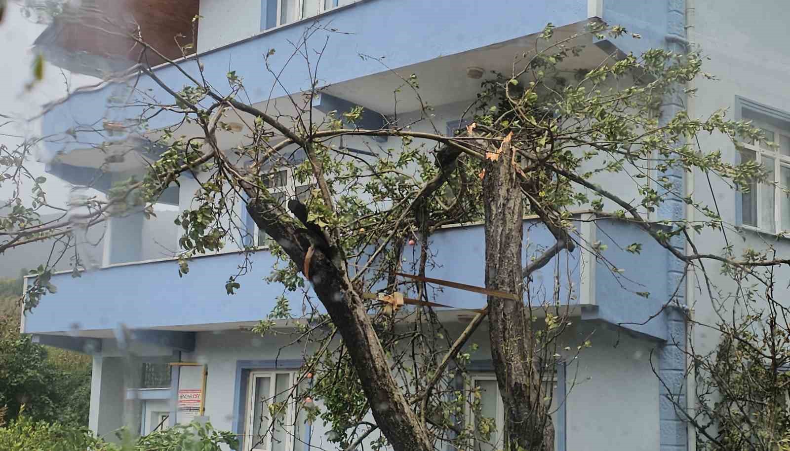kastamonuda-firtina-catilari-ucurdu-agaclari-devirdi