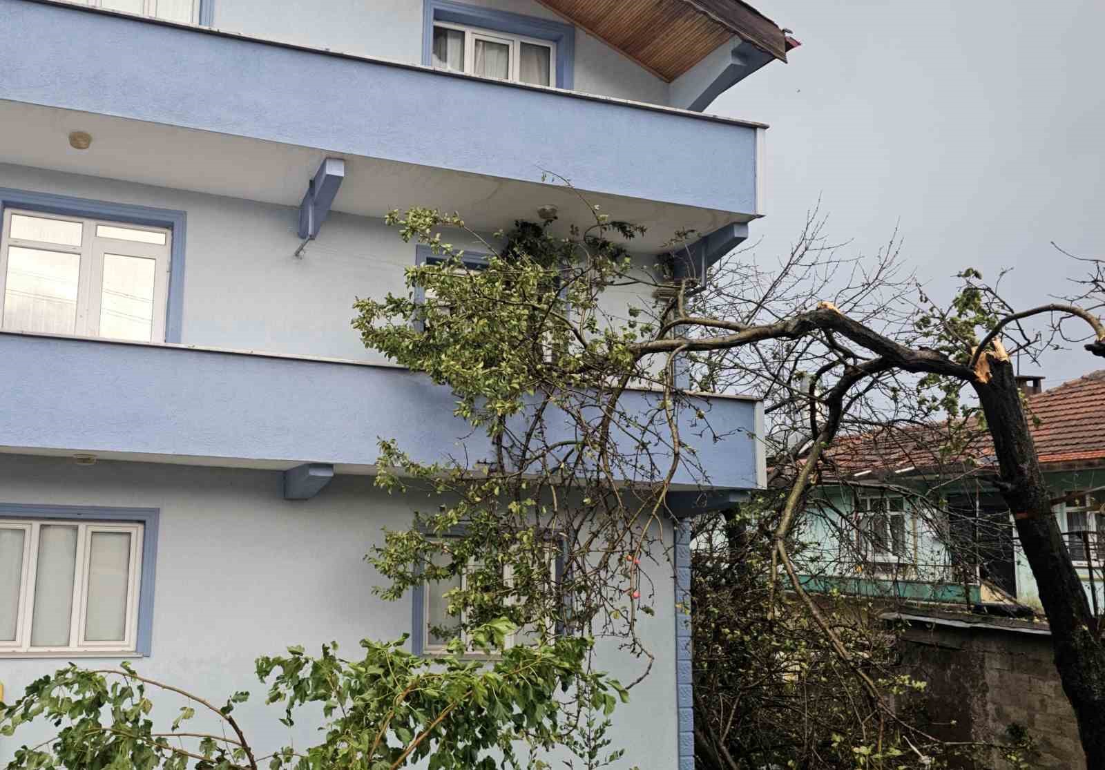 kastamonuda-firtina-catilari-ucurdu-agaclari-devirdi