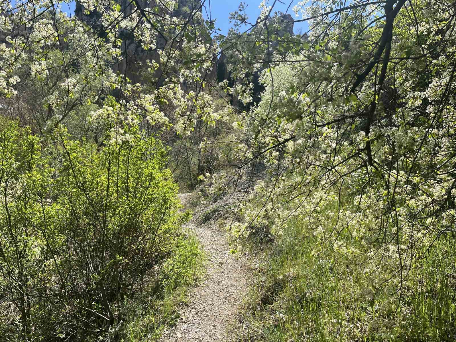 corumun-kesfedilmeyi-bekleyen-sakli-cenneti