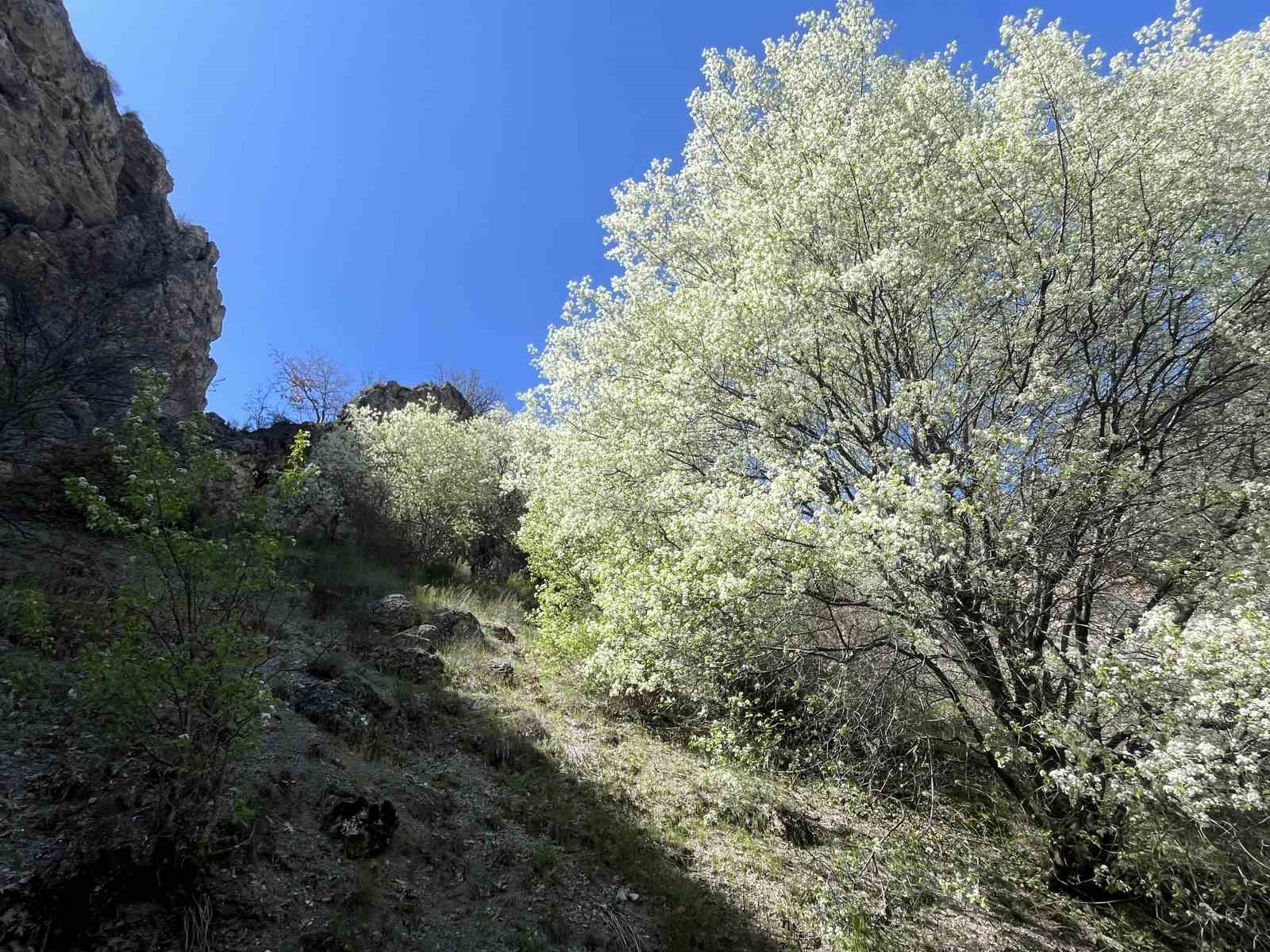 corumun-kesfedilmeyi-bekleyen-sakli-cenneti