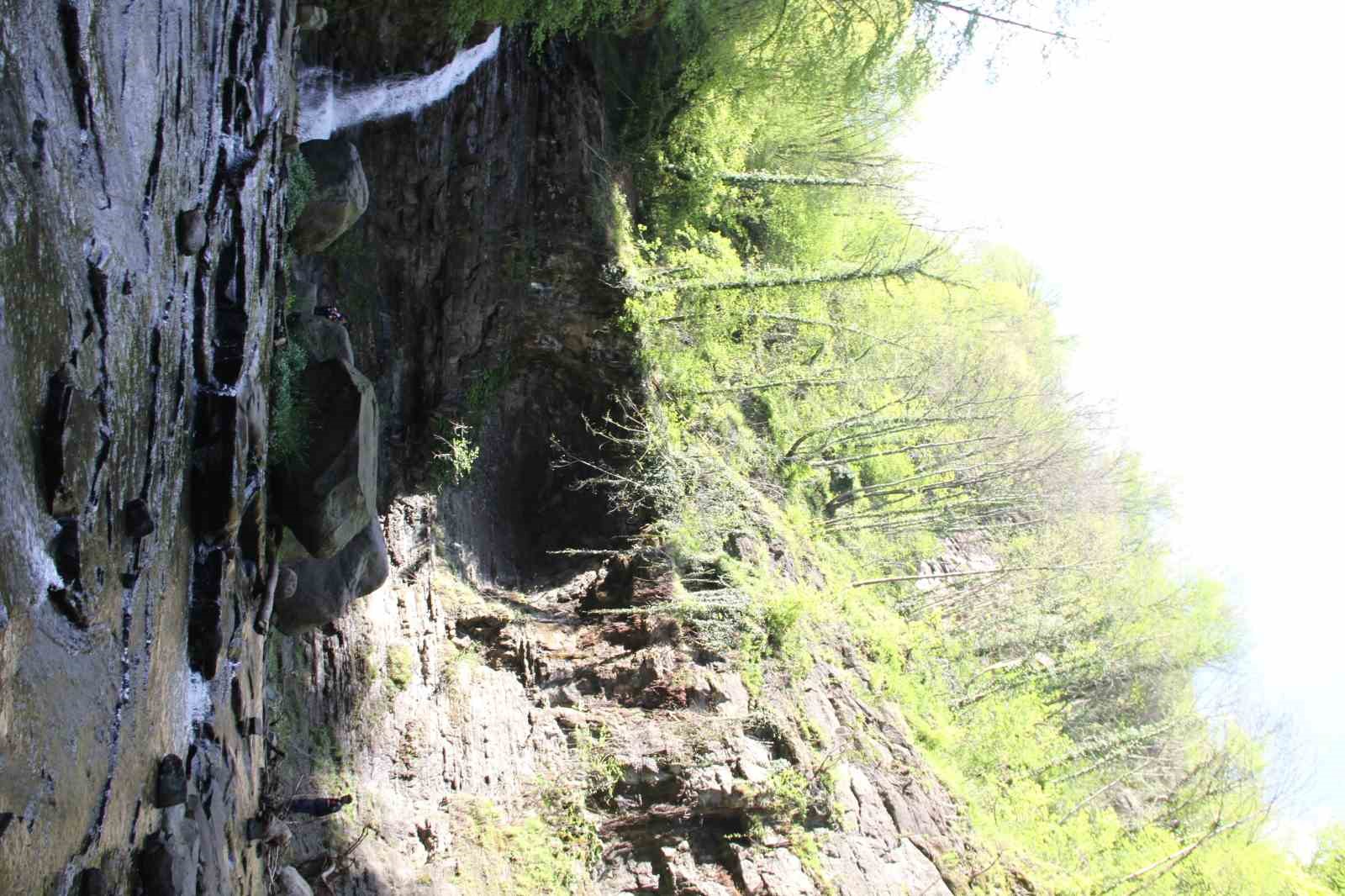 kabaceviz-selalesinde-piknik-yapan-kardeslerin-uzerine-kaya-dustu-1-olu