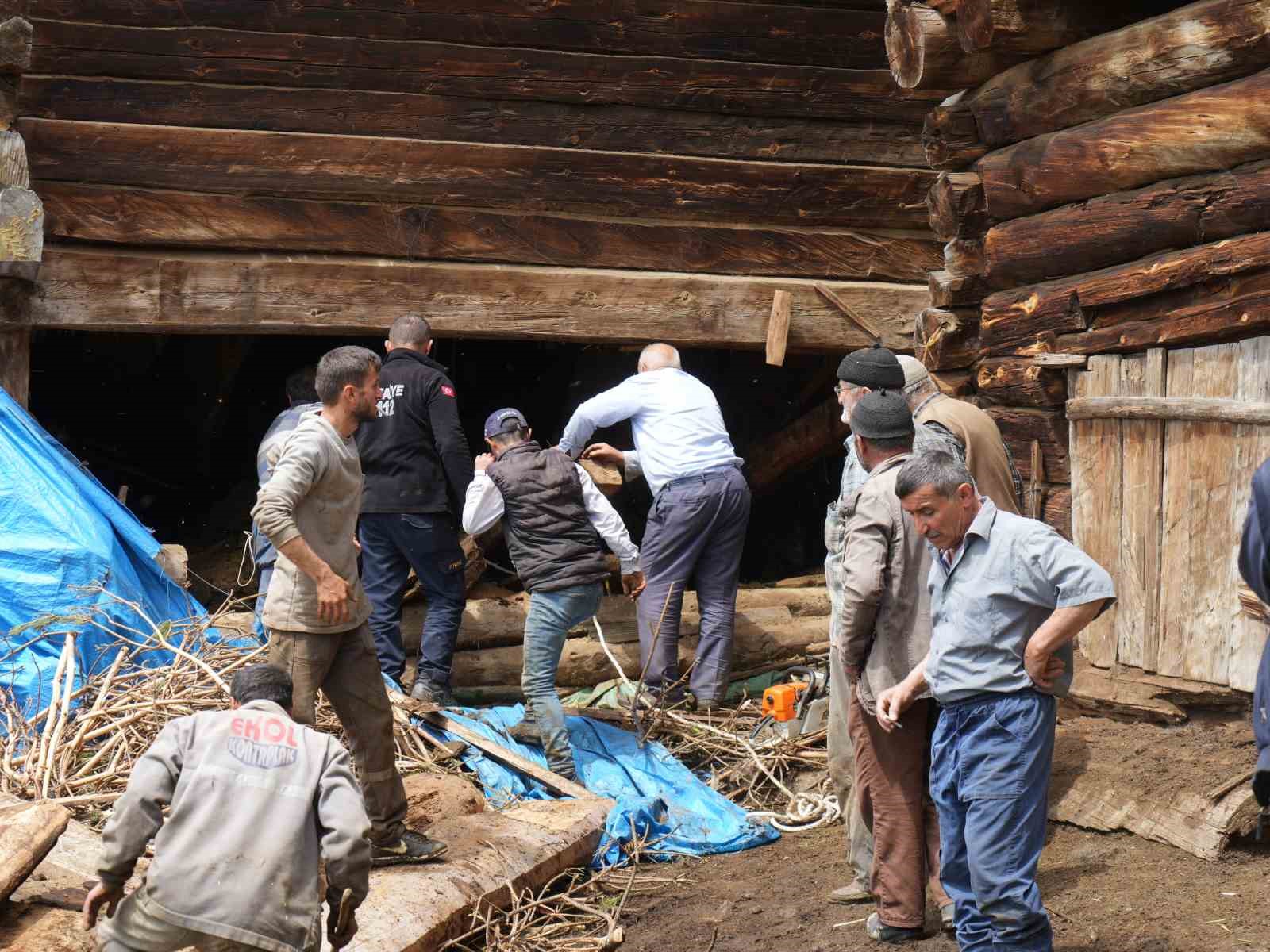 ahirdaki-gocukte-bilanco-belli-oldu-1-kadin-hayatini-kaybetti-94-hayvan-telef-oldu
