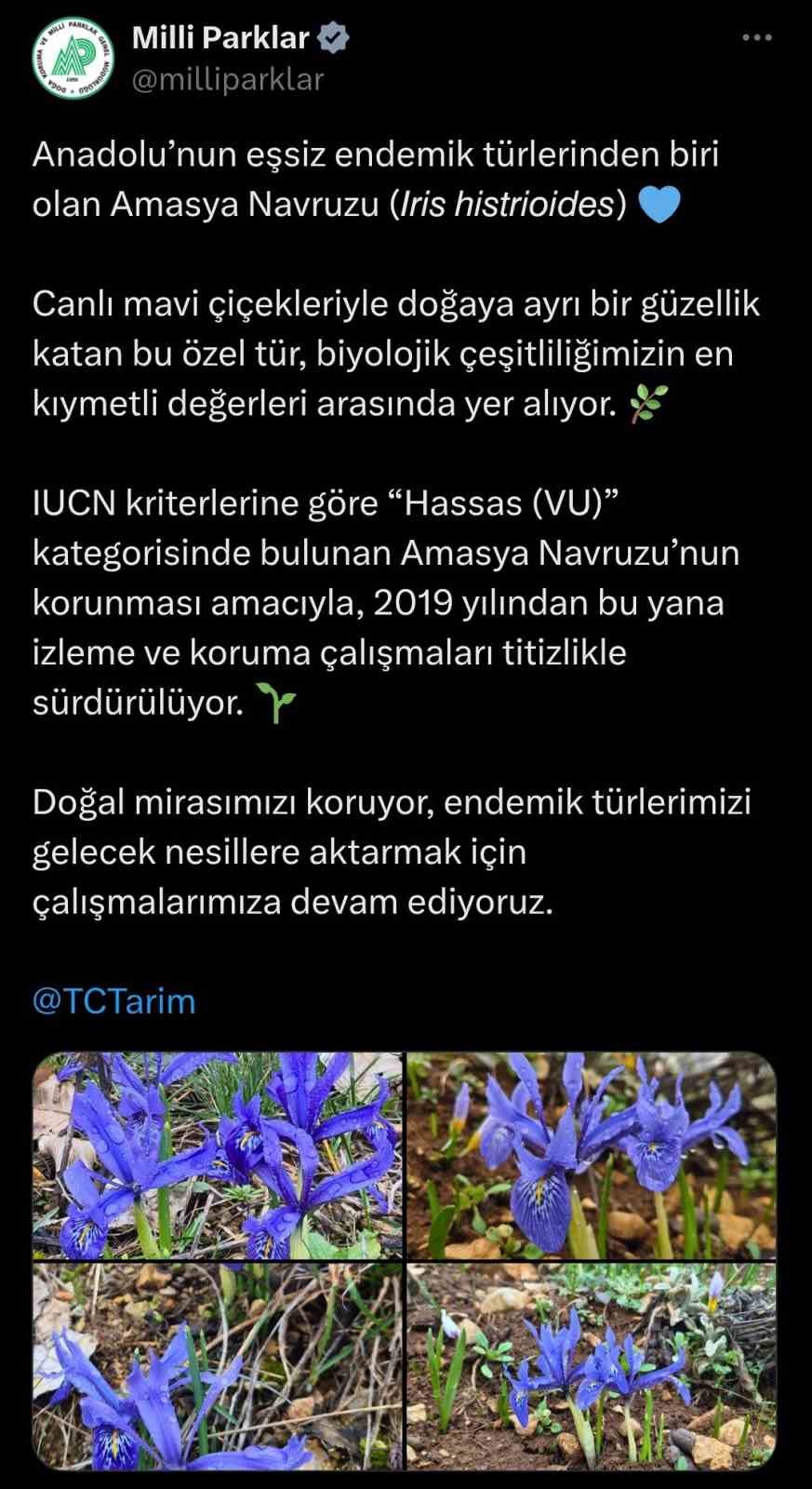 amasya-navruzunun-fotograflari-en-kiymetli-degerleri-arasinda-notuyla-paylasildi