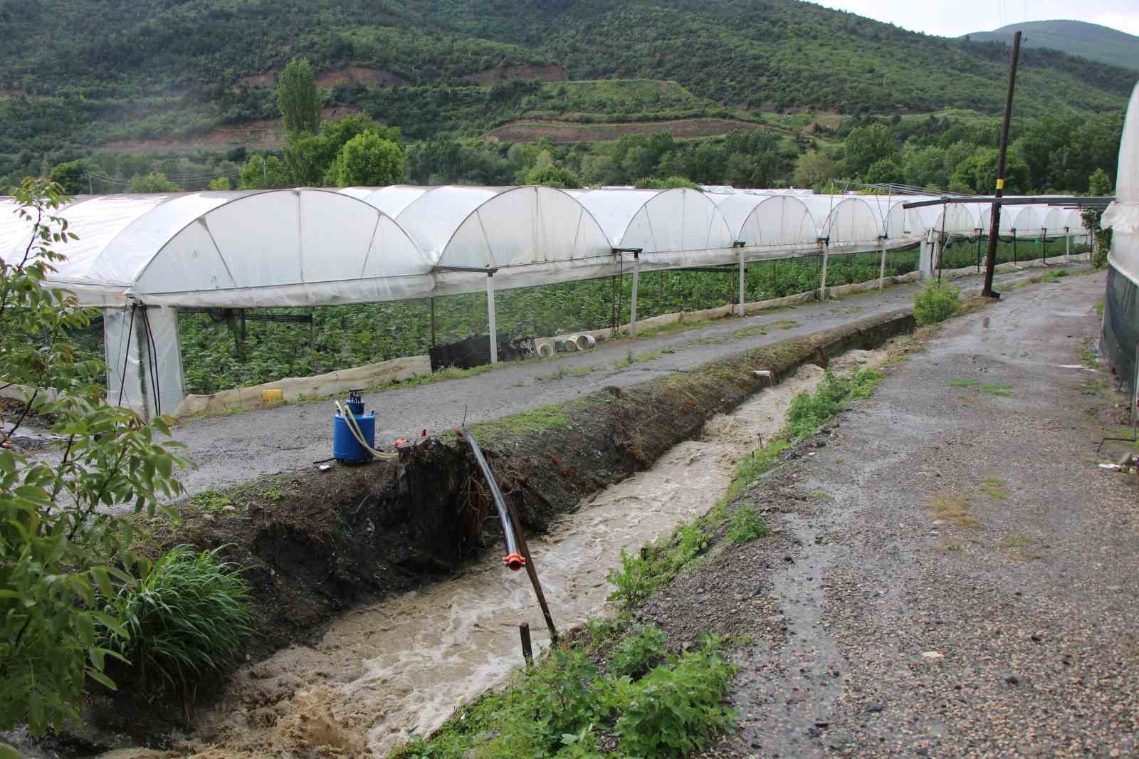 diktigi-binlerce-kok-fidesi-sel-sonrasi-curuyen-ciftci-bu-afet-allahtan-geldi-boynumuz-kildan-ince