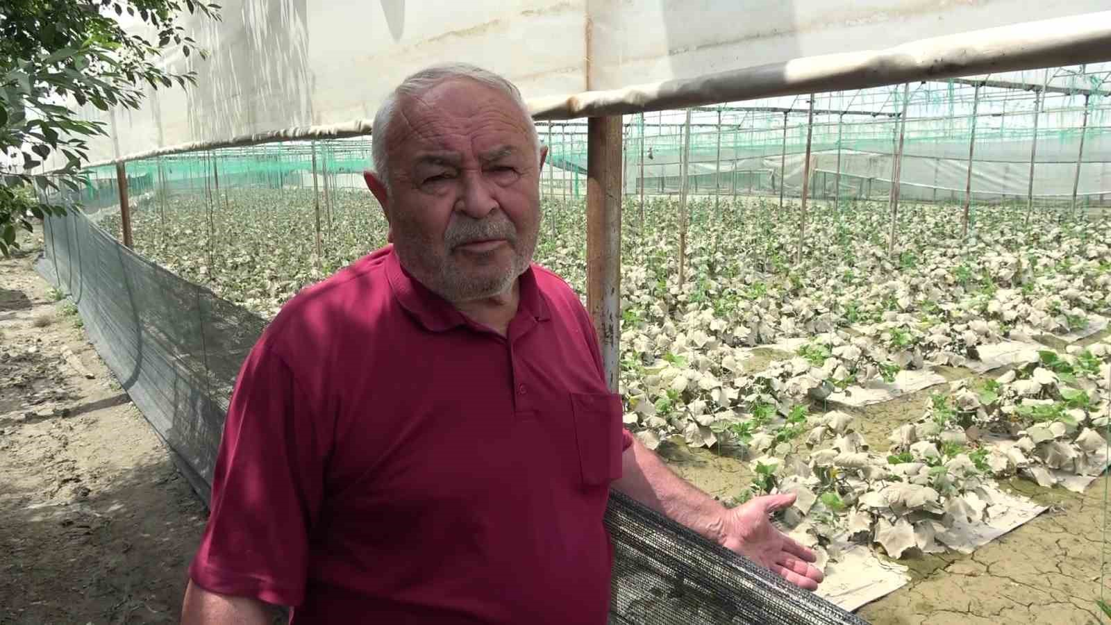 diktigi-binlerce-kok-fidesi-sel-sonrasi-curuyen-ciftci-bu-afet-allahtan-geldi-boynumuz-kildan-ince
