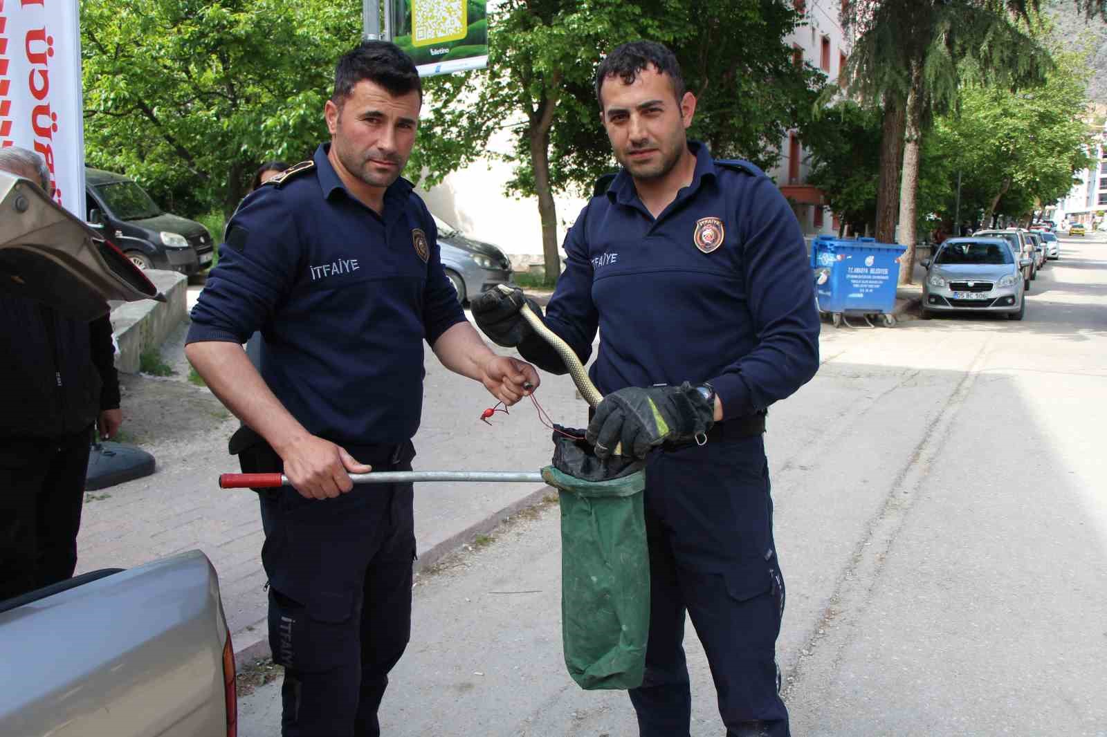 otomobilin-icine-giren-15-metrelik-yilani-itfaiye-erleri-yakaladi