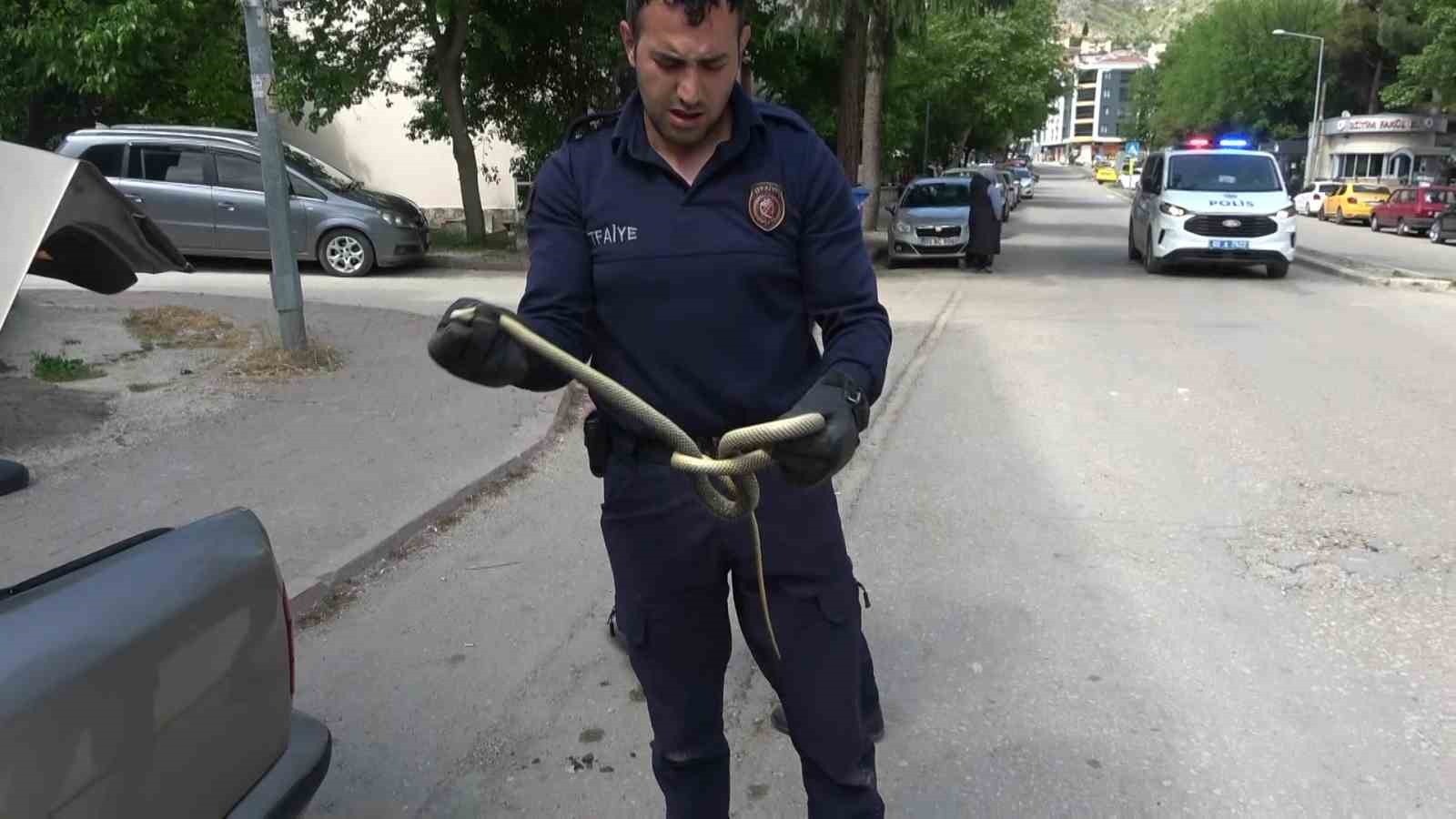 otomobilin-icine-giren-15-metrelik-yilani-itfaiye-erleri-yakaladi