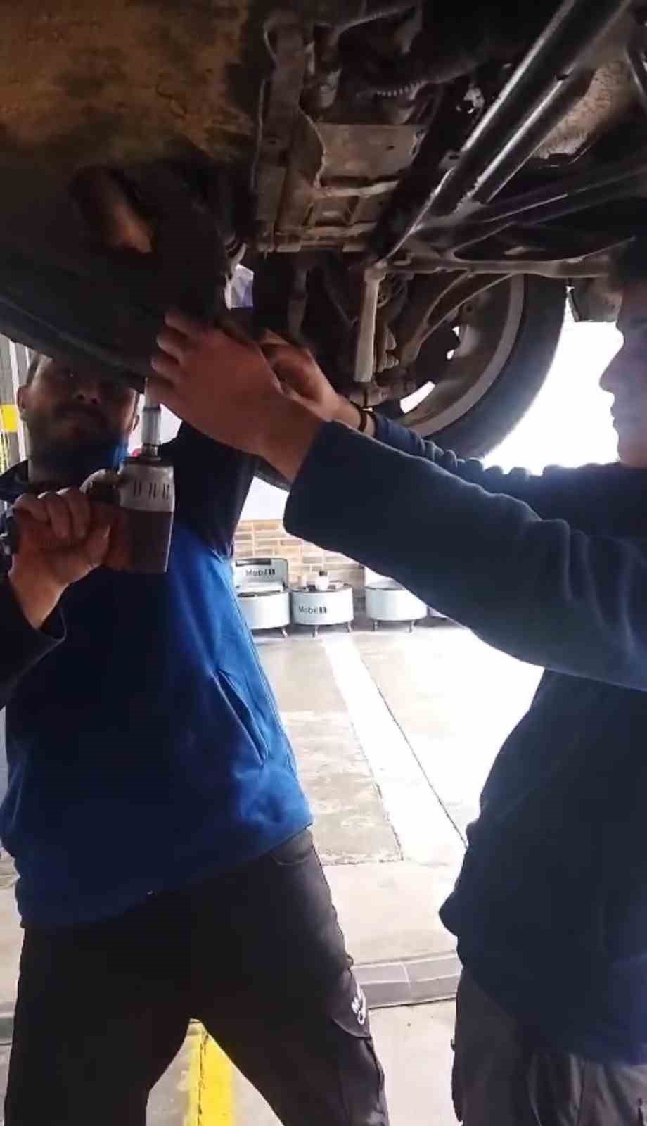 otomobilin-motoruna-giren-yavru-kedi-kurtarildi