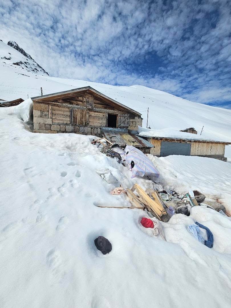 yayla-evlerini-kirdi-doktu-ormanda-dinlenirken-drone-kamerasina-yakalandi