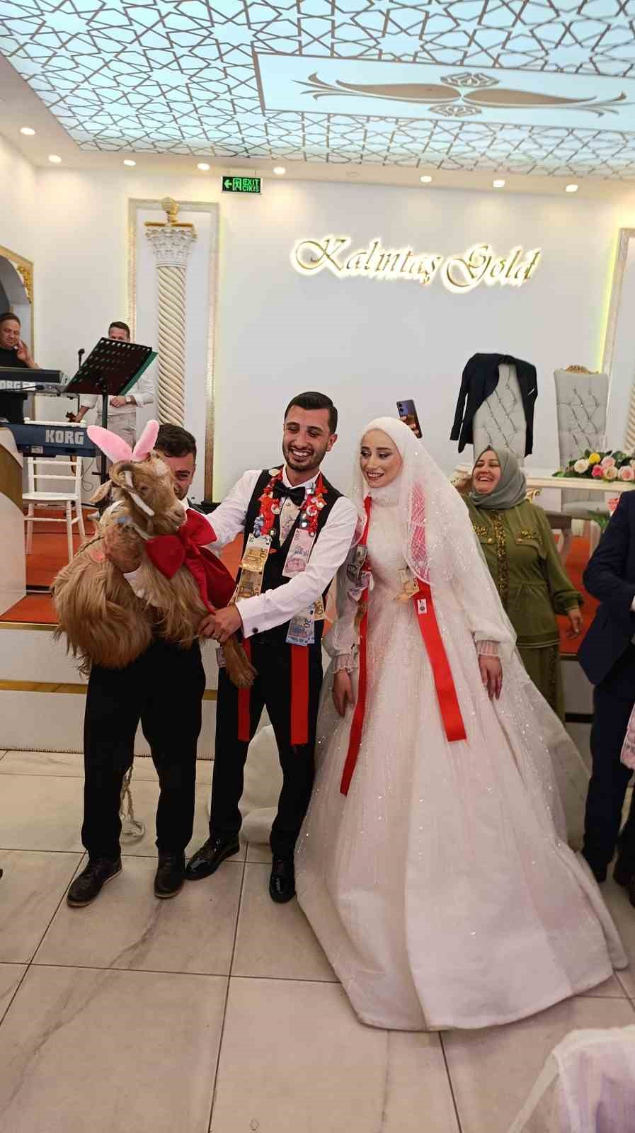 dugunde-altin-degil-keci-takildi
