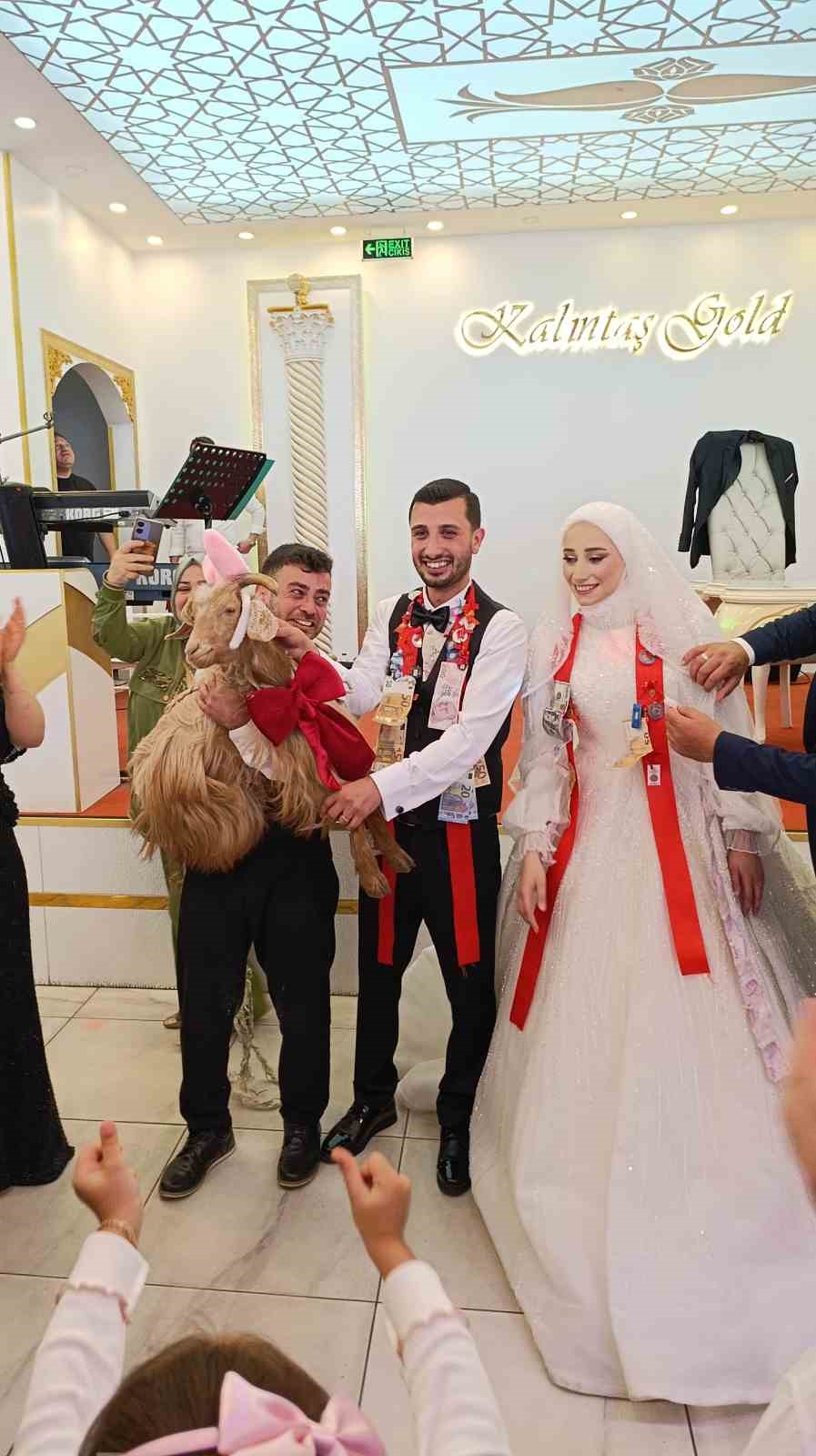 dugunde-altin-degil-keci-takildi