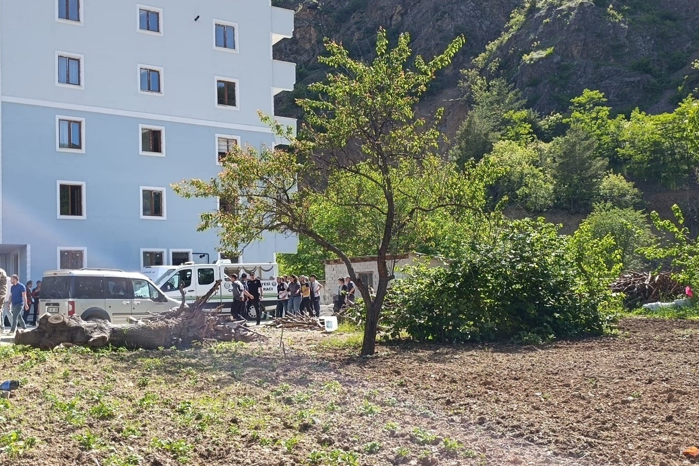 esini-odunla-doverek-oldurdu