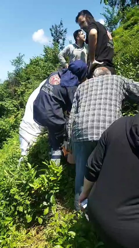 kiraz-toplamak-icin-ciktigi-agactan-dustu