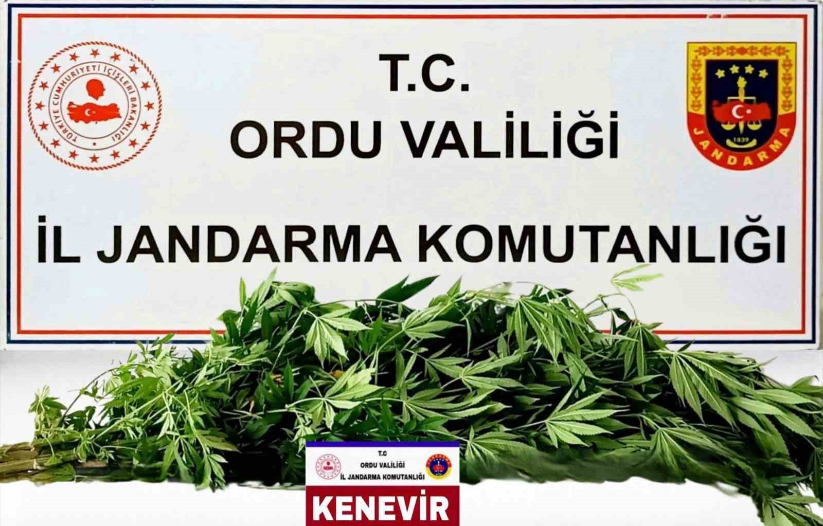 orduda-jandarma-43-aranan-supheliyi-yakaladi