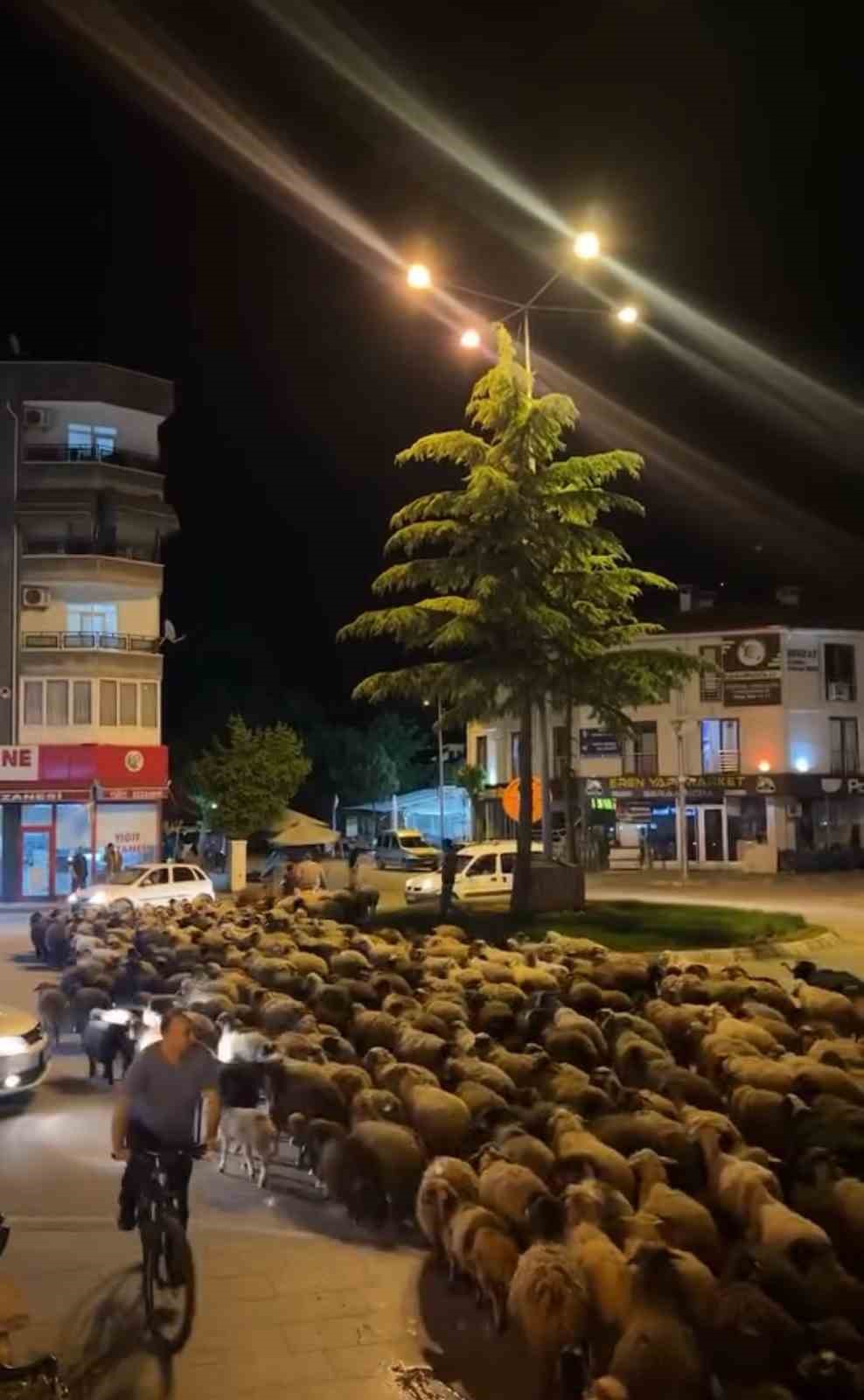 tokatta-yayla-gocunde-yuzlerce-koyun-sehir-merkezinden-gecti