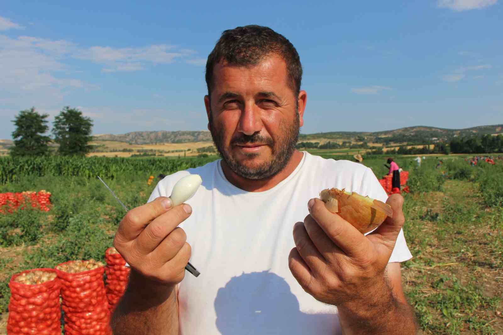 amasyada-sogan-bir-bardak-caydan-bile-ucuz