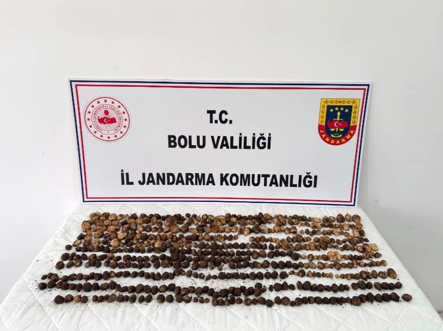 boluda-2-milyon-liralik-salep-cezasina-isyan-edip-catiya-cikti