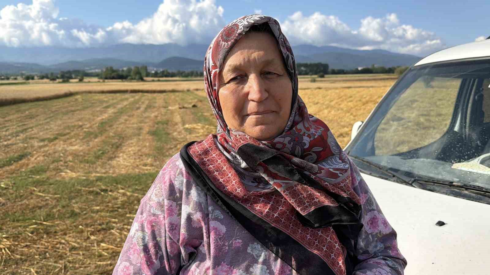 demirini-satmak-icin-yaktiklari-kanepe-10-donumluk-tarlayi-kule-cevirdi