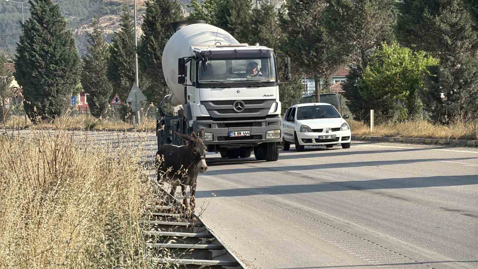kara-yoluna-cikan-esek-trafigi-tehlikeye-dusurdu
