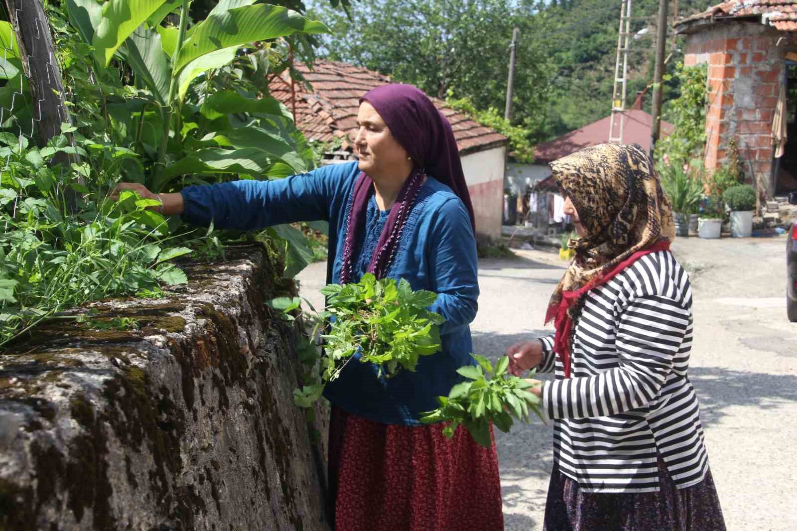 karadeniz-fikrasi-gibi-mahalle-herkesin-soyadi-ayni