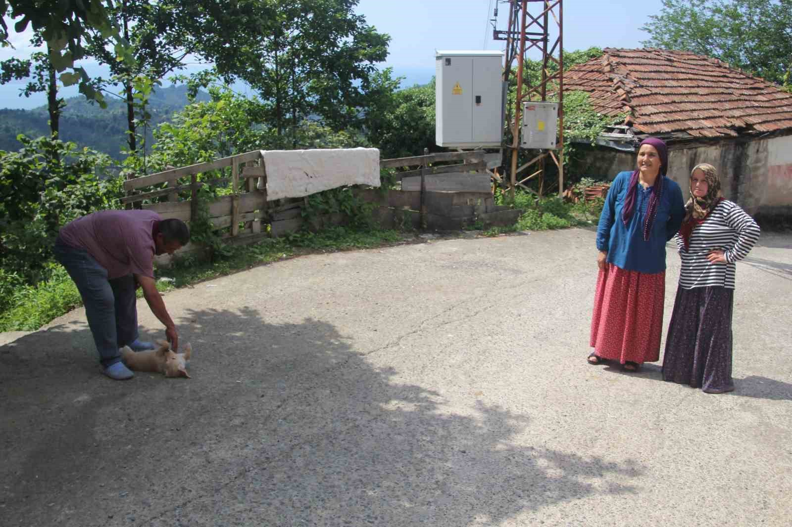 karadeniz-fikrasi-gibi-mahalle-herkesin-soyadi-ayni