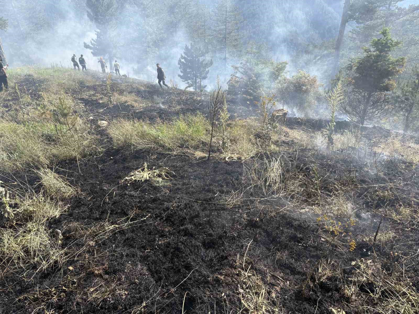 kastamonuda-cikan-orman-yangininda-75-donum-alan-zarar-gordu