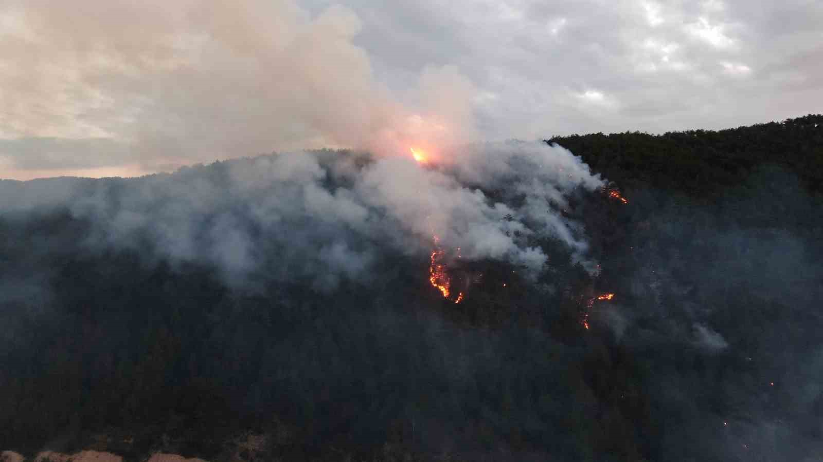 kastamonudaki-orman-yanginina-mudahale-suruyor