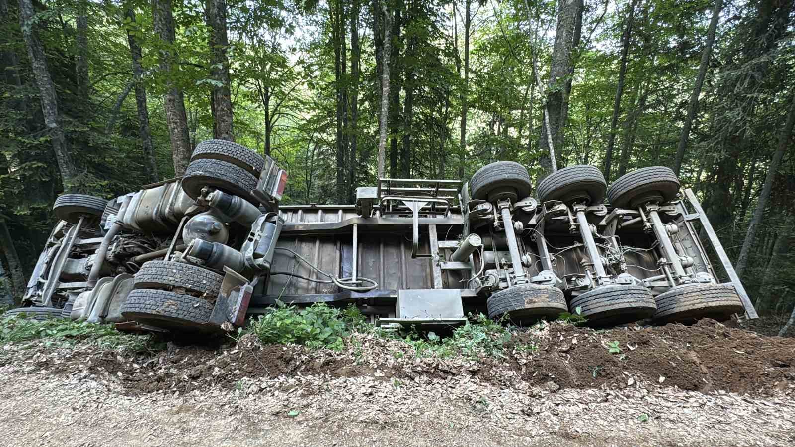 orman-yolunda-sarampole-devrilen-kamyonun-surucusu-yaralandi
