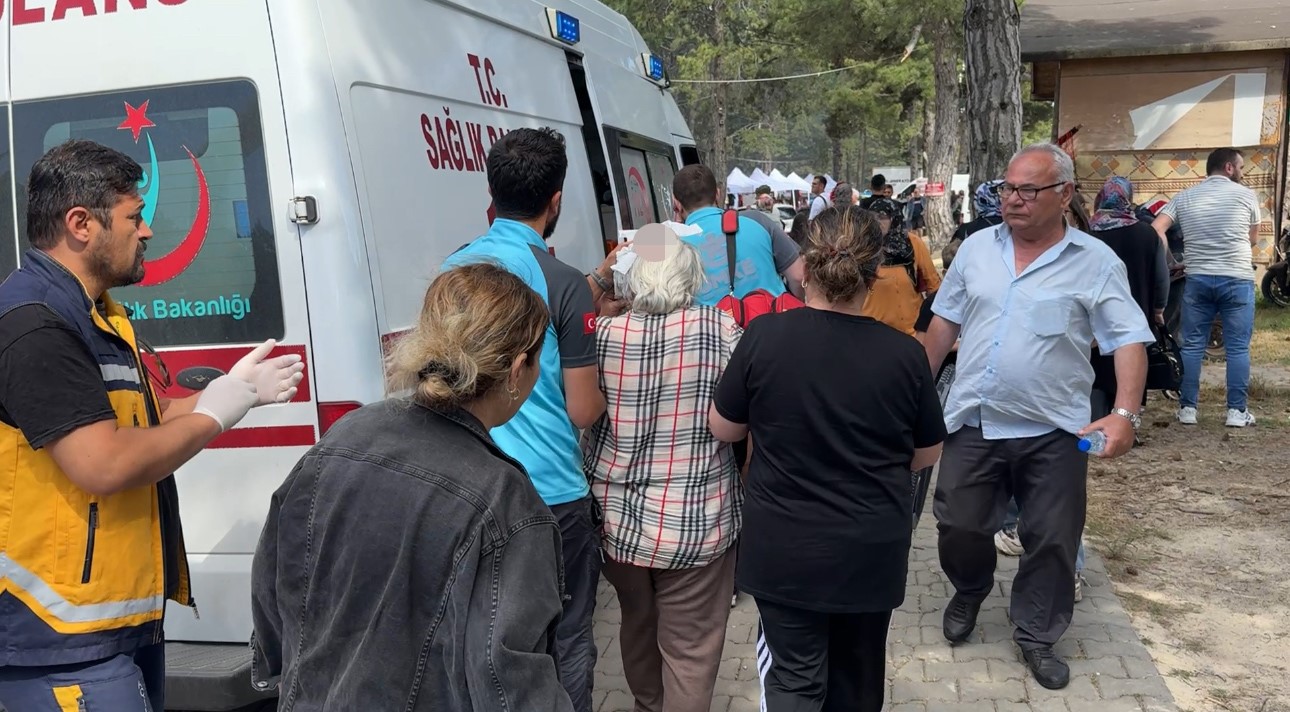 senlikte-agactan-dusen-dal-yasli-kadini-yaraladi