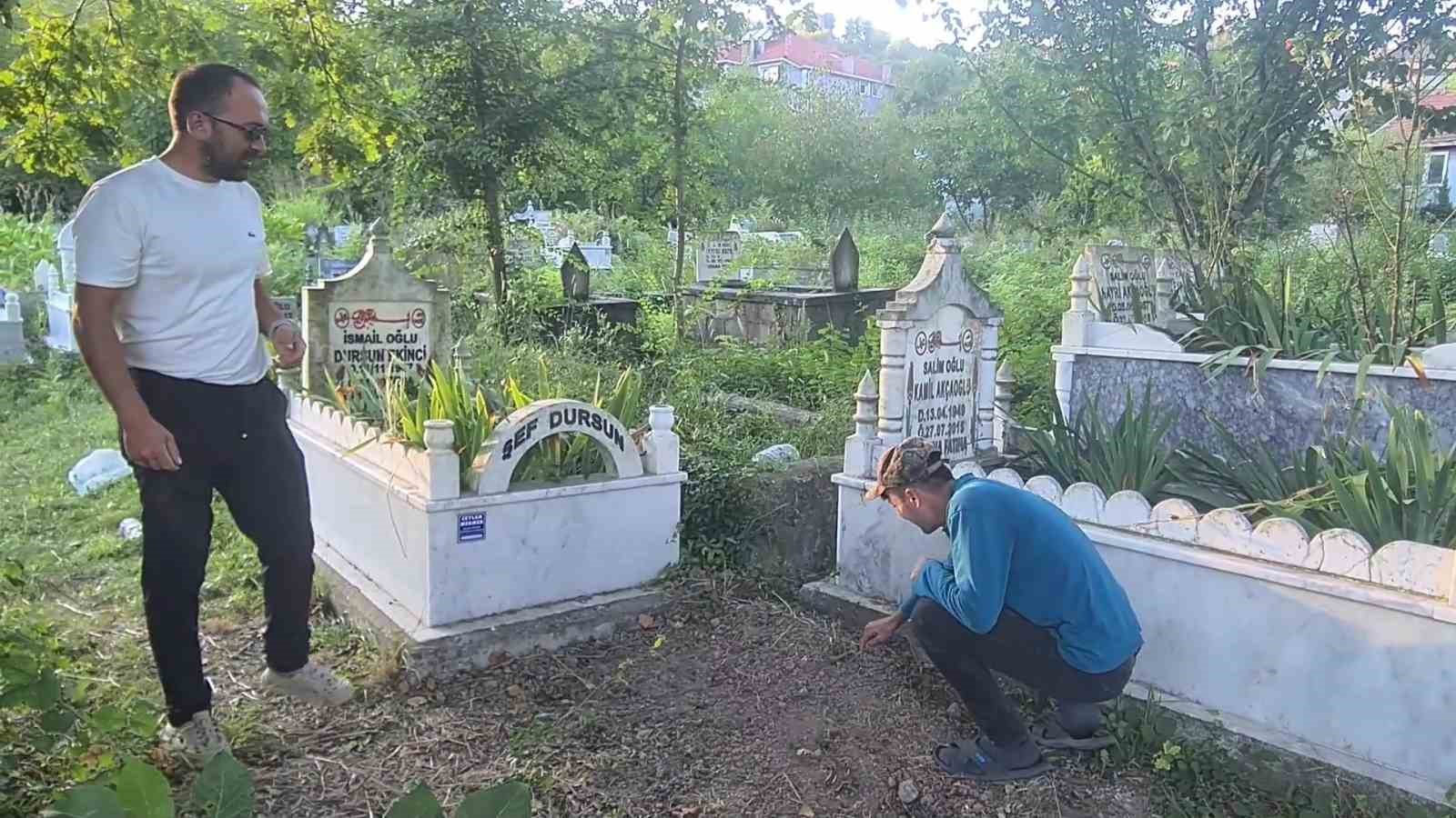 bebek-cesedi-gomuldugu-ihbar-edilen-yere-kedi-gomuldugu-ortaya-cikti