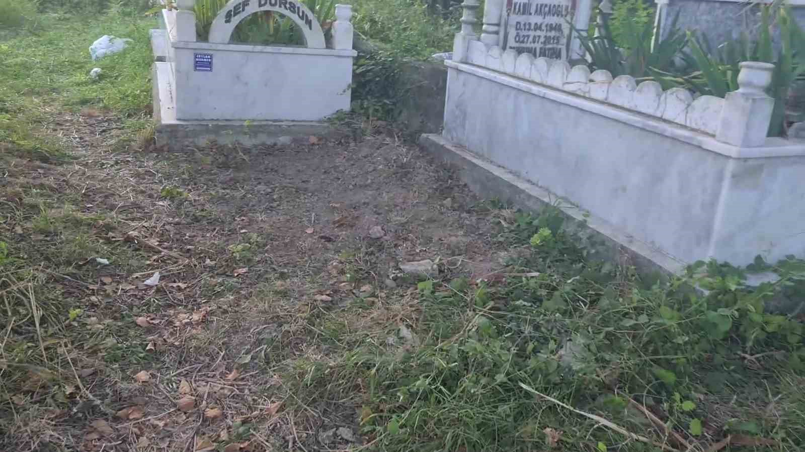 bebek-cesedi-gomuldugu-ihbar-edilen-yere-kedi-gomuldugu-ortaya-cikti